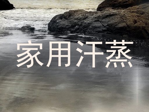家用汗蒸