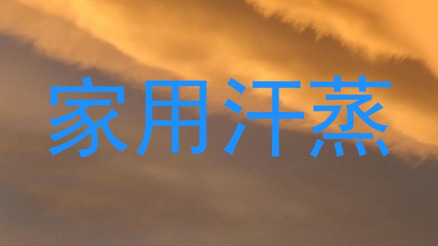 家用汗蒸