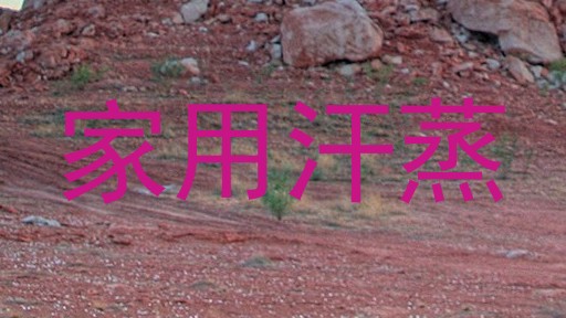 家用汗蒸