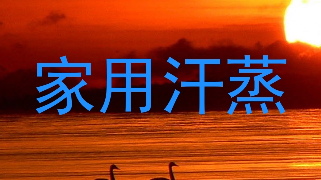 家用汗蒸
