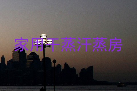 家用干蒸汗蒸房