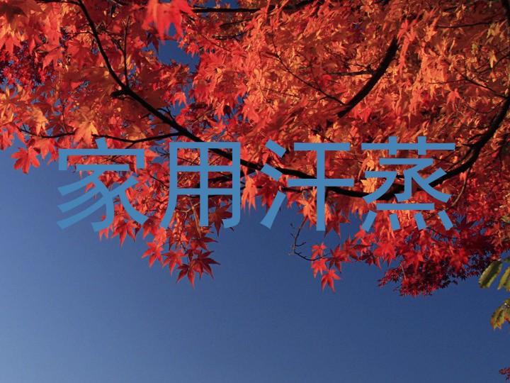 家用汗蒸
