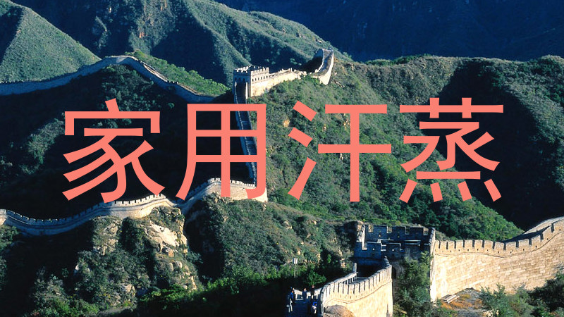 家用汗蒸