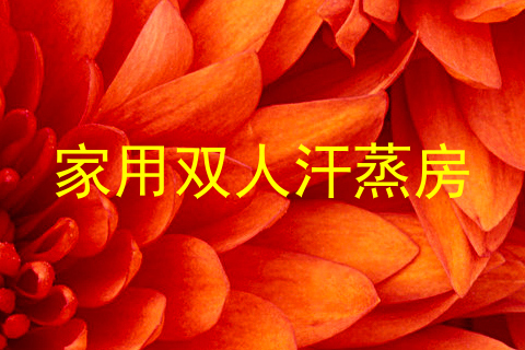 家用双人汗蒸房