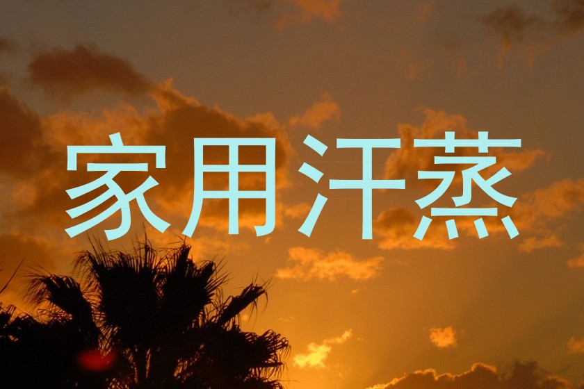 家用汗蒸