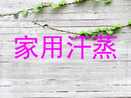 家用汗蒸