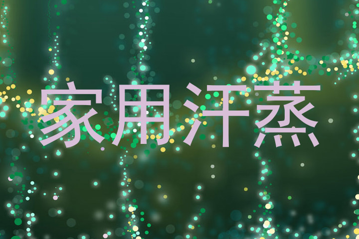 家用汗蒸