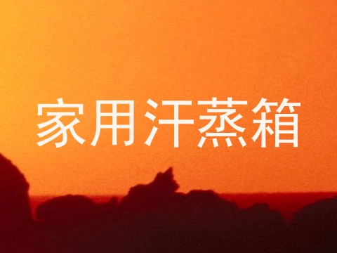 家用汗蒸箱