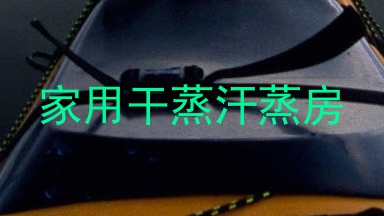 家用干蒸汗蒸房