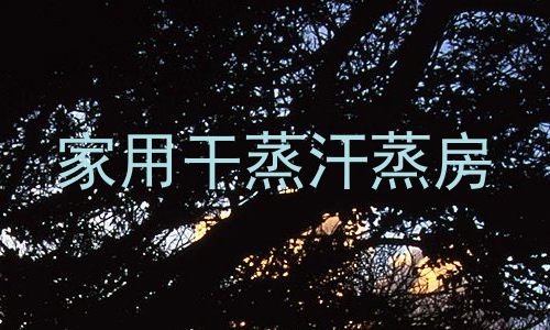 家用干蒸汗蒸房