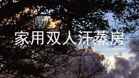 家用双人汗蒸房