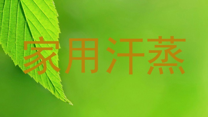 家用汗蒸