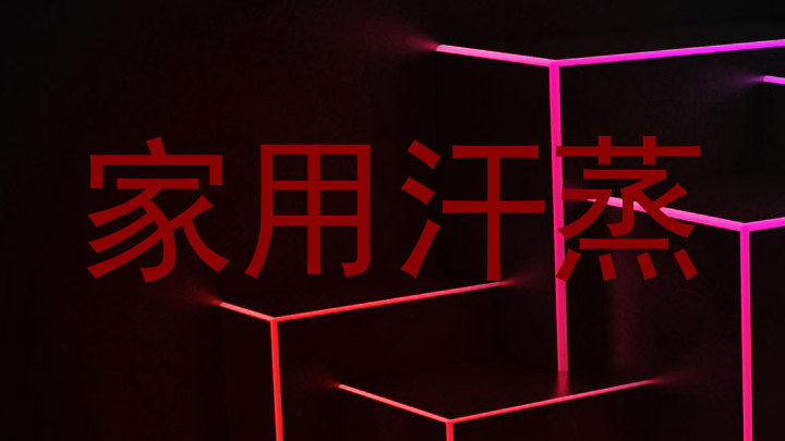 家用汗蒸
