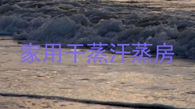 家用干蒸汗蒸房