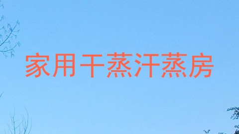 家用干蒸汗蒸房