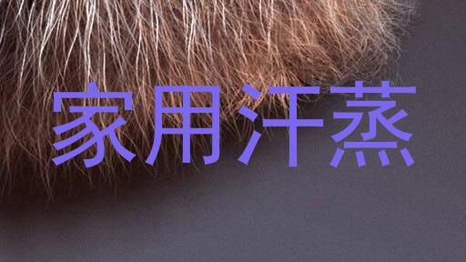 家用汗蒸