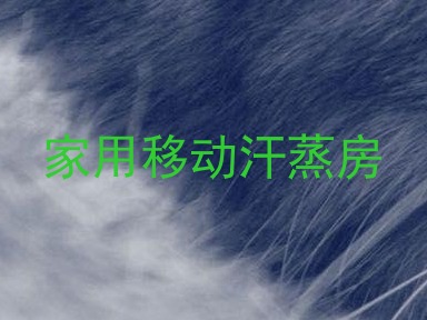 家用移动汗蒸房