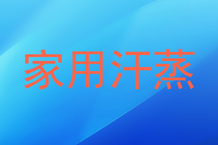 家用汗蒸