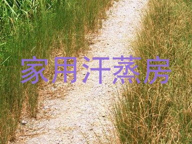 家用汗蒸房