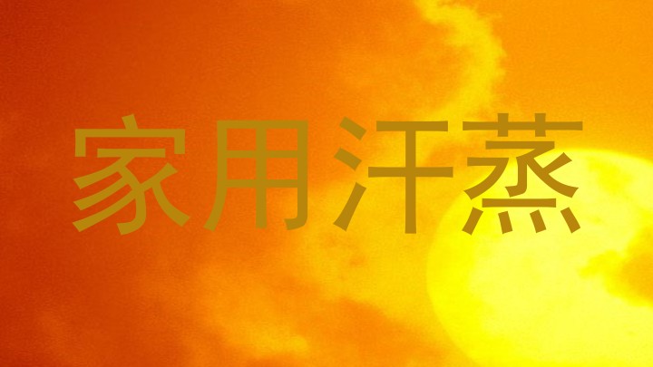 家用汗蒸