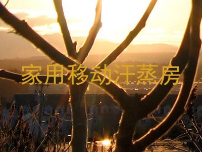 家用移动汗蒸房