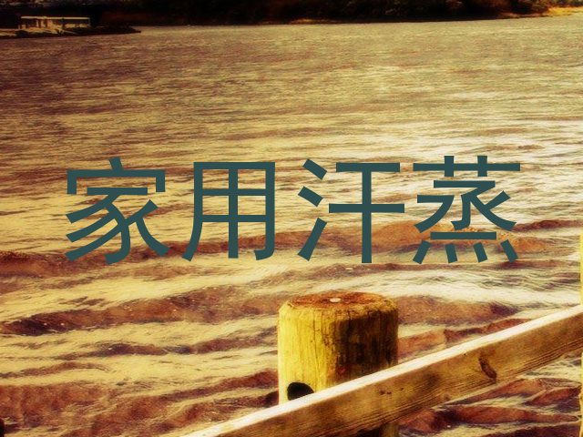 家用汗蒸