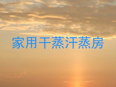 家用干蒸汗蒸房