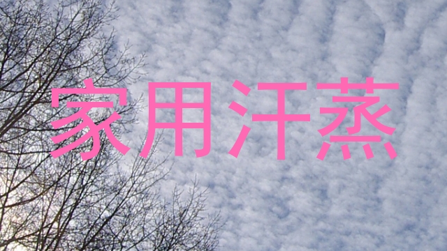 家用汗蒸