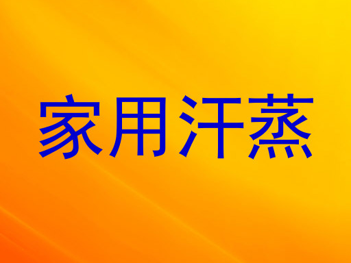家用汗蒸
