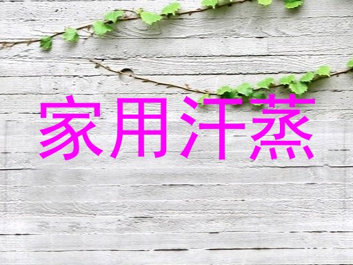 家用汗蒸