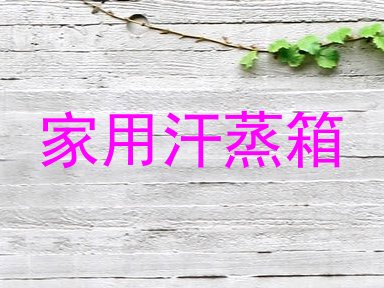 家用汗蒸箱
