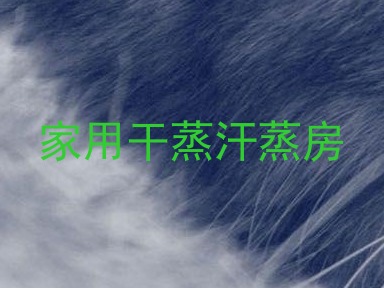 家用干蒸汗蒸房