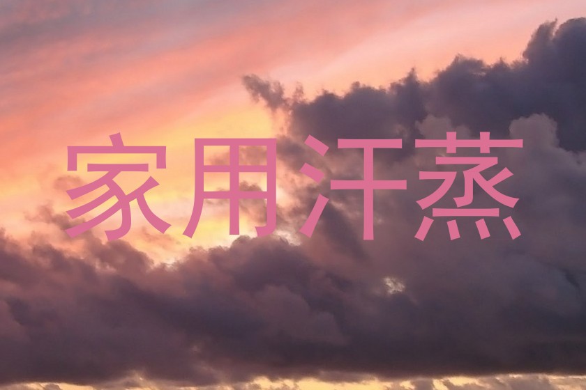 家用汗蒸