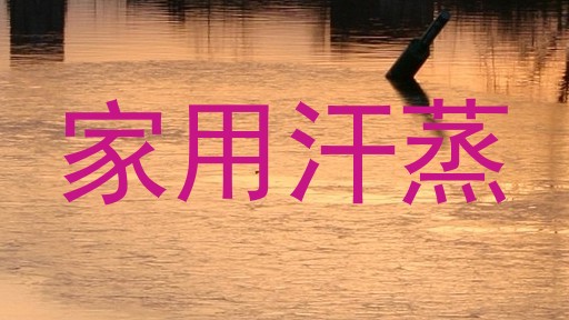 家用汗蒸