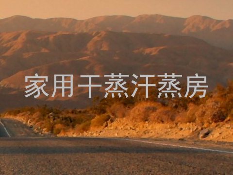 家用干蒸汗蒸房