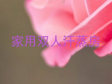 家用双人汗蒸房