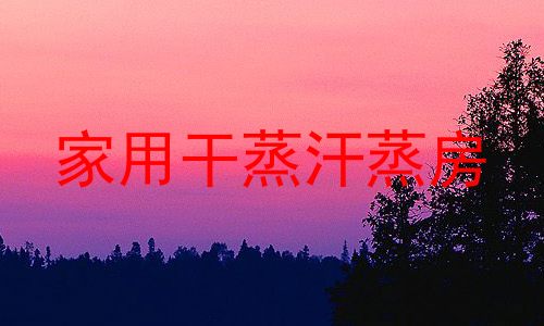 家用干蒸汗蒸房