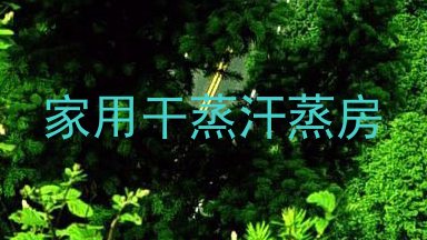 家用干蒸汗蒸房