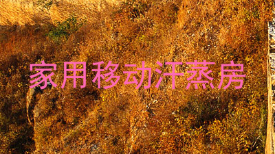 家用移动汗蒸房