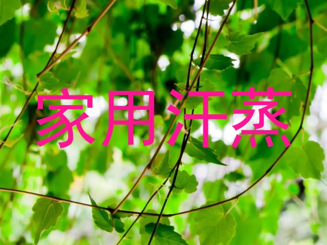 家用汗蒸
