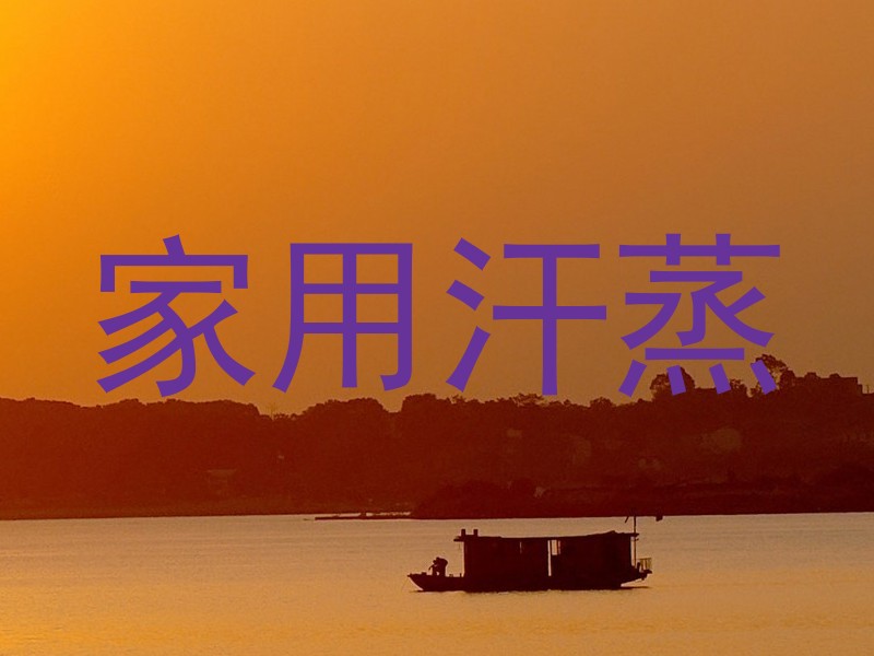 家用汗蒸