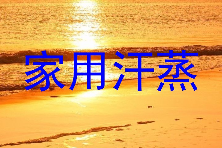 家用汗蒸