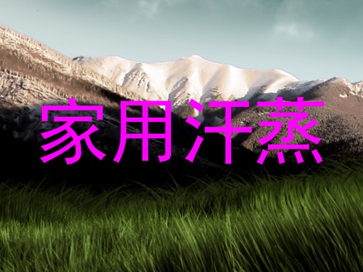 家用汗蒸