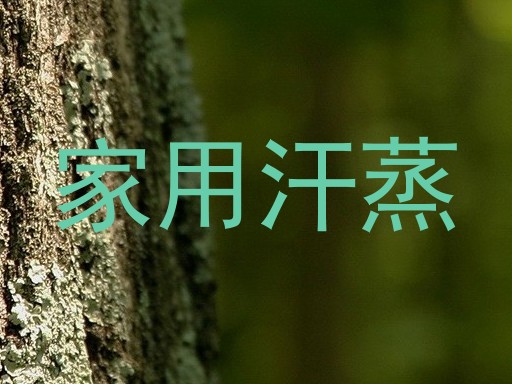 家用汗蒸