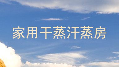 家用干蒸汗蒸房