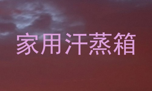 家用汗蒸箱