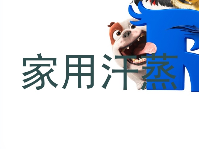 家用汗蒸