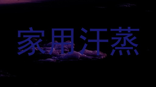 家用汗蒸