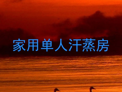 家用单人汗蒸房