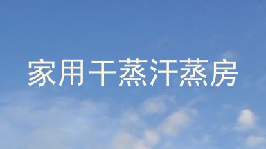 家用干蒸汗蒸房